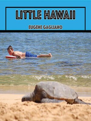 cover image of Little Hawaii